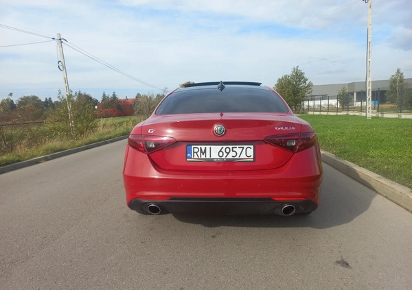 Alfa Romeo Giulia cena 114000 przebieg: 34000, rok produkcji 2020 z Mielec małe 67